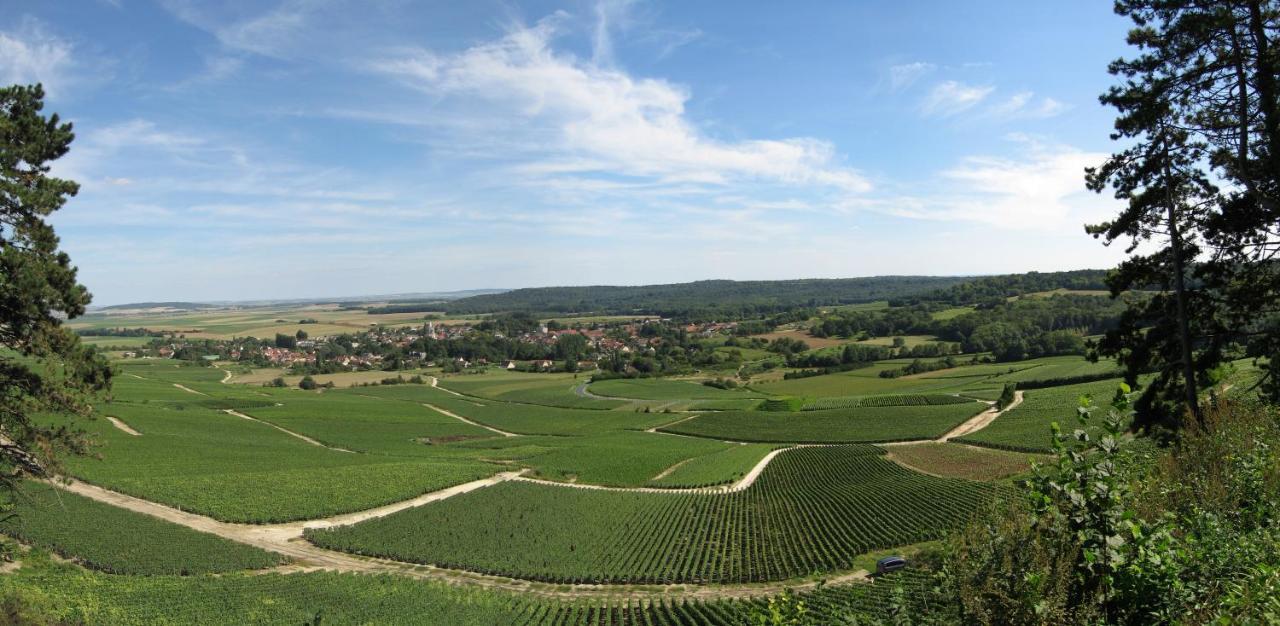 Domaine Des Grattieres Hotel Hermonville Buitenkant foto