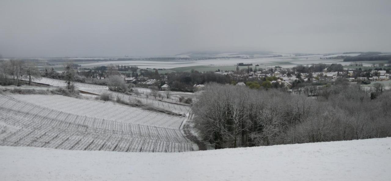 Domaine Des Grattieres Hotel Hermonville Buitenkant foto